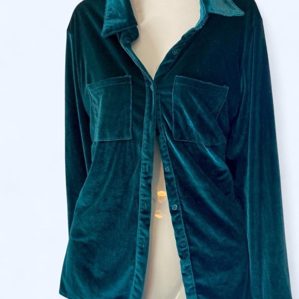 Teal velvet blouse with long sleeves and button-up front M